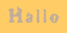 Hallo