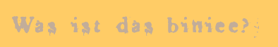 Was ist das biniee?